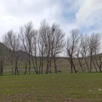 فروش زمین درسرعین
