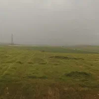 فروش گندم ساورز واس تیم