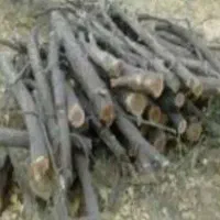 فروش چوب یا هیزم