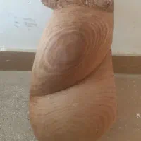 کاسه تار