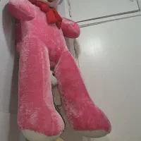 خرس بزرگ