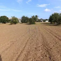 زمین فروشی