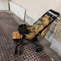 کالسکه دلیجان با تخفیف
