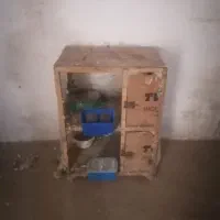 قفس