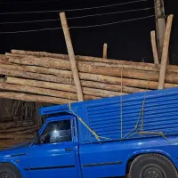 خریدار انواع چوب تر وخشک