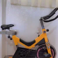 دوچرخه ثابت