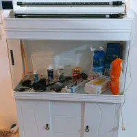 اکواریوم و ماهی