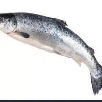 قرل الا پاک شده