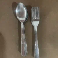 قاشق وچنگال ست هم