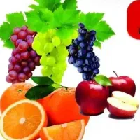 حق العمل کاری میوه میدان تره بار تهران