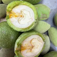 گردو با پوست سبز درجه یک