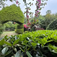 اجاره ویلا باغ ساحلی