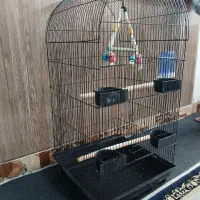 قفس ۱ متری طوطی