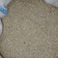 برنج نیم دونه‌هاشمی