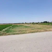 زمین-فروشی