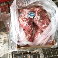 ران فانتزی بوقلمون ( عمده)