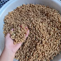 توت هوراند