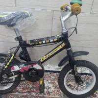 دوچرخه۱۲