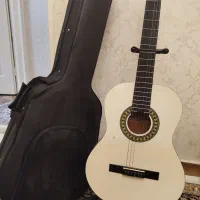 گیتار با کیف و پایه