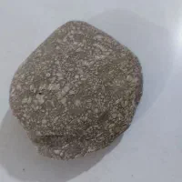 سنگ فسیلی صدف