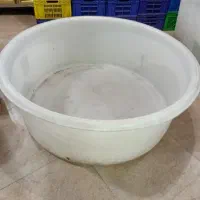 وان ماهی