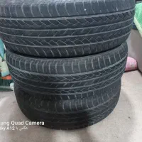 لاستیک 185رنگ 15