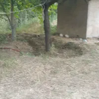 زمین وباغ  روستای سیمین زاغه همراه خانه۴۸متری