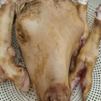 کله پاچه و سیرابی تمیز میکنم