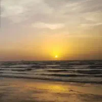 فروش ویژه قطعه زمین ساحلی
