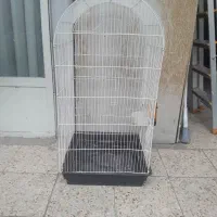 قفس طوطی عروس هلندی