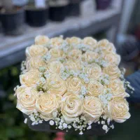گل قاصدک|خدمات پذیرایی، مراسم|سمنان, |دیوار