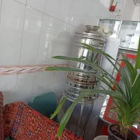 وسایل ساندویچی