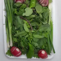 با سلام سبزی پاک کرده تمیز تحویل هم حضوری و ارسال