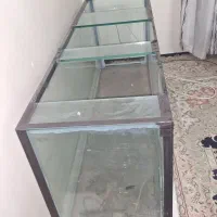 آکواریوم   و متعلقات