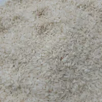 برنج چمپا رودخانه ای