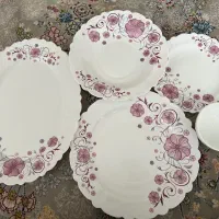 سرویس غذا خوری ارکوپال