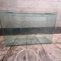 آکواریوم