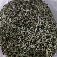 ازبوه کوهی
