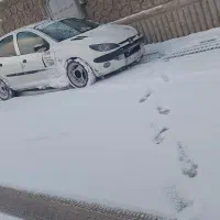 ۲۰۶‌مدل ۸۹ دوررنگ