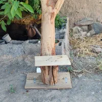 جا گلدونی سنتی