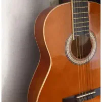 خریدار گیتار