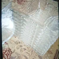 پیش دستی