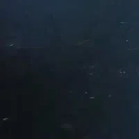 برق کار ولوله کشی