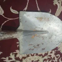 همشون یک تومن