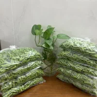 لوبیاسبز