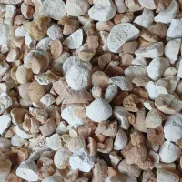 کشک  محلی. سنتی . قرود