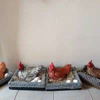 مجسمه مرغ خانگی