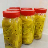 ترشی انبه خانگی (۱ کیلوگرمی)