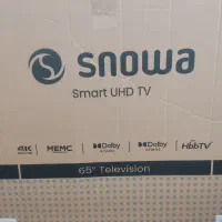 کارتون سالم