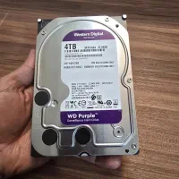 هارد وسترن دیجیتال ۴ ترابایت بنفش سلامت ۱۰۰